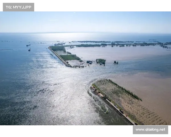 救援力量齐聚洞庭湖决堤现场,村民用冰箱筑起生命防线(洞庭湖治理2万亿) 救援力量齐聚洞庭湖决堤现场,村民用冰箱筑起生命防线(洞庭湖治理2万亿)